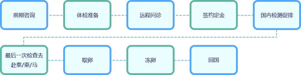 试管爸爸-单身冻卵流程-海外生育力保存卵子冷冻技术