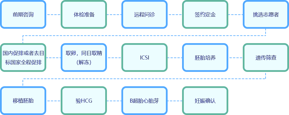 试管爸爸-单身女生育流程-海外单身女性试管婴儿步骤详解
