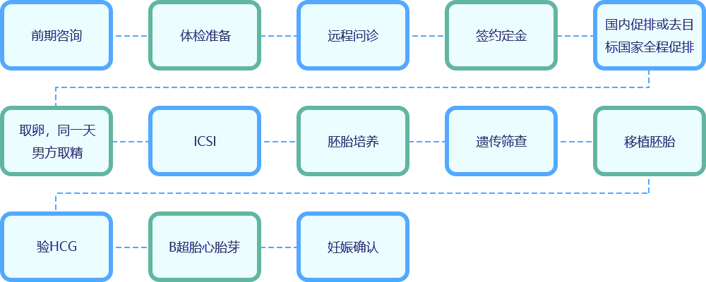 试管爸爸-夫妻试管助孕流程-海外夫妻试管婴儿步骤详解