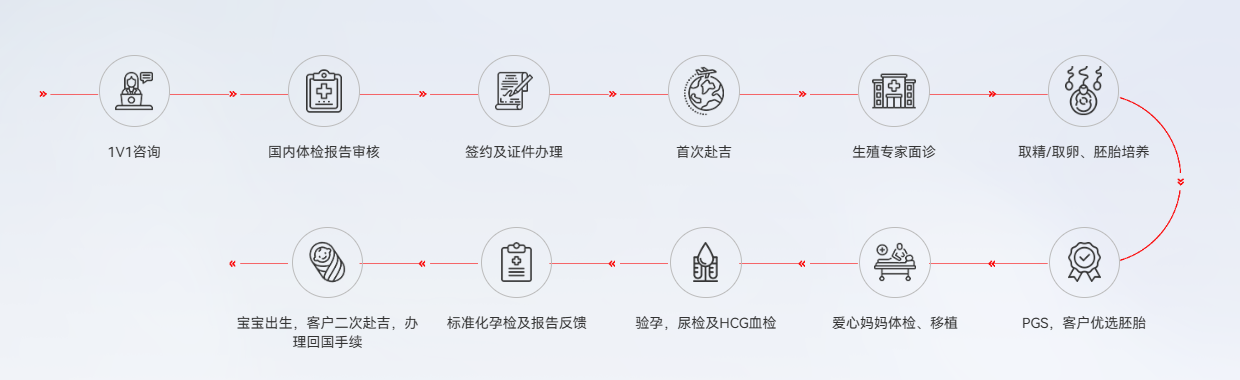 试管爸爸-赴吉生子流程步骤-吉尔吉斯斯坦生子全程服务示意图