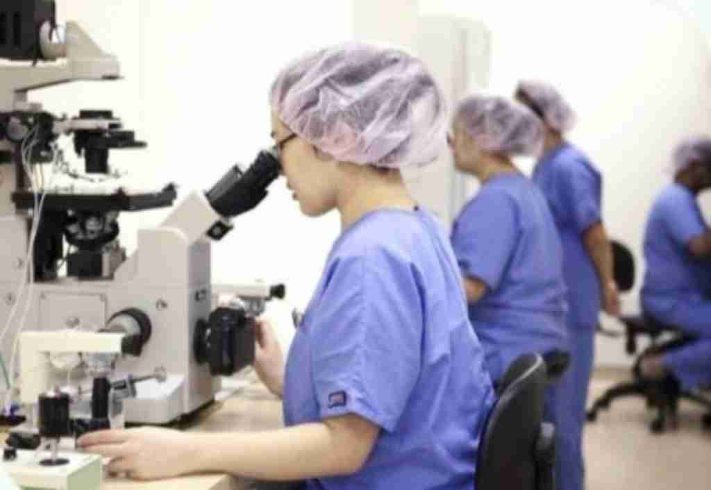 试管爸爸国际助孕中心合作医院-新加坡莱佛士生殖医院