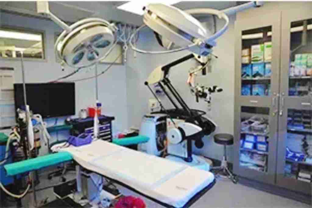 试管爸爸国际助孕中心合作医院-美国ccrh医院