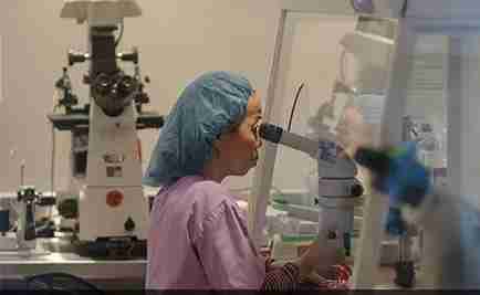 试管爸爸国际助孕中心合作医院-美国ccrh医院