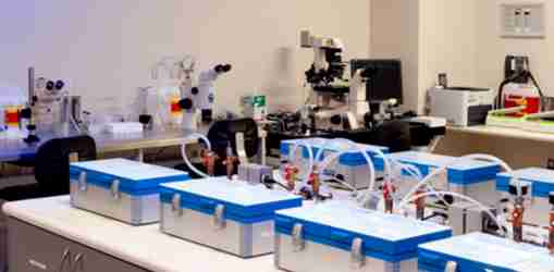 试管爸爸国际助孕中心合作医院-泰国曼谷BIC生殖中心