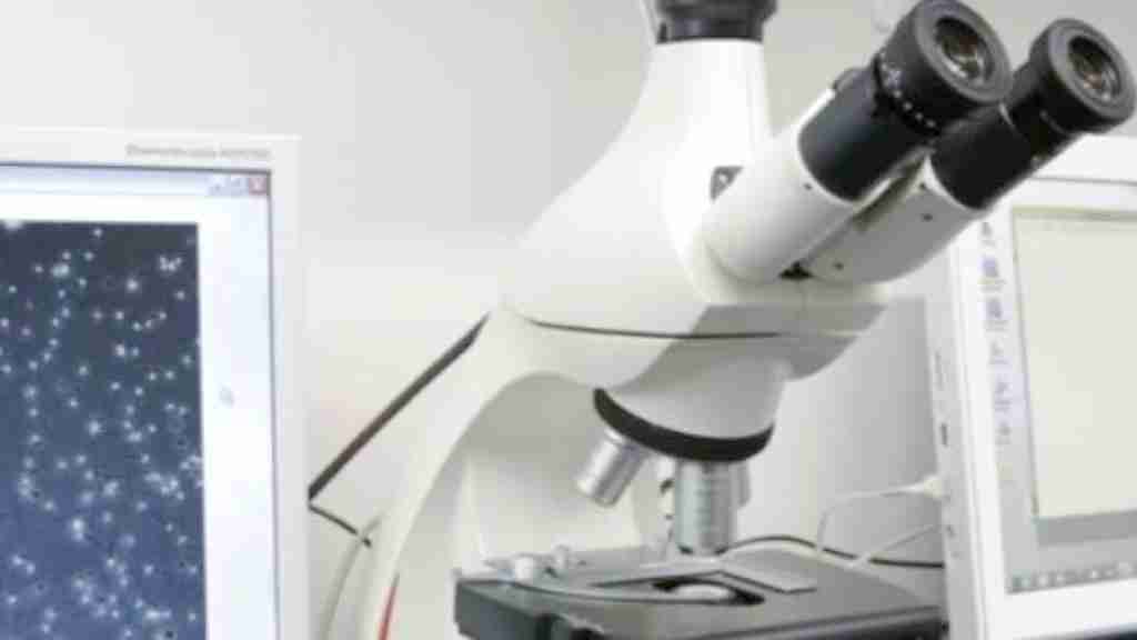 试管爸爸国际助孕中心合作医院-日本两角生殖中心