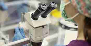 试管爸爸国际助孕中心合作医院-乌克兰Mini IVF医院