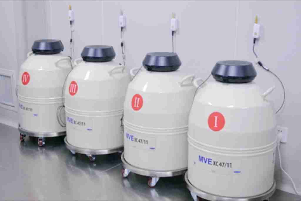 试管爸爸国际助孕中心合作医院-格鲁吉亚Anima诊所