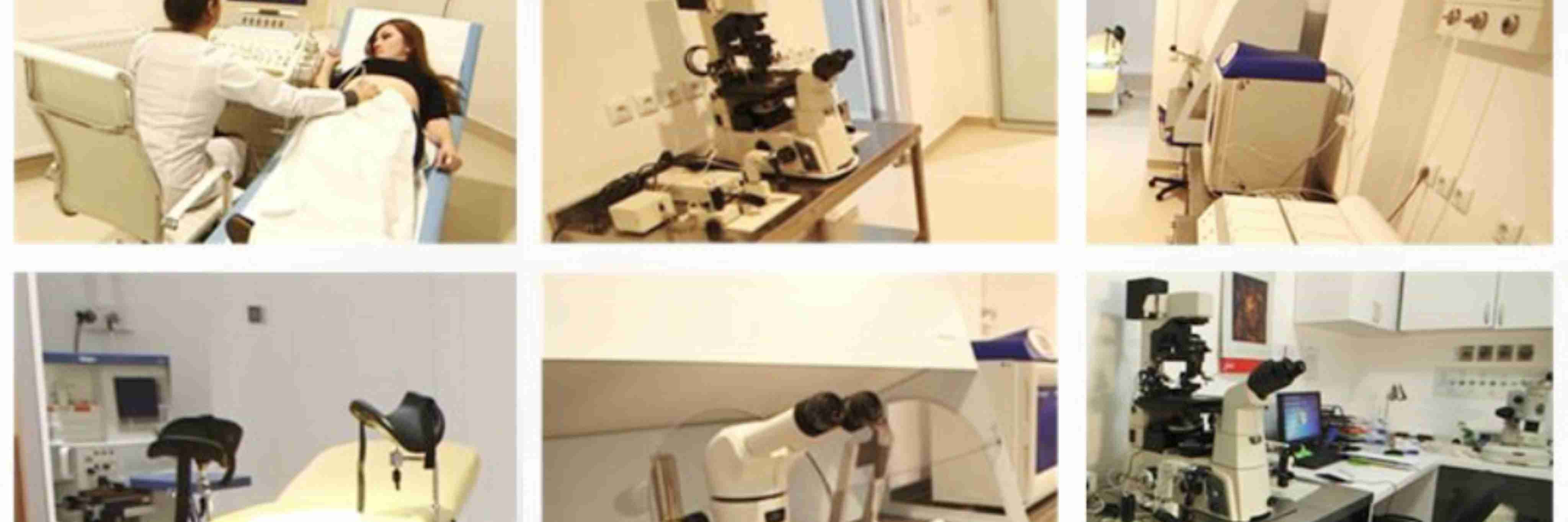 试管爸爸国际助孕中心合作医院-格鲁吉亚格鲁吉亚ReproART