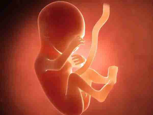 试管爸爸国际助孕中心合作医院-北京协和医院