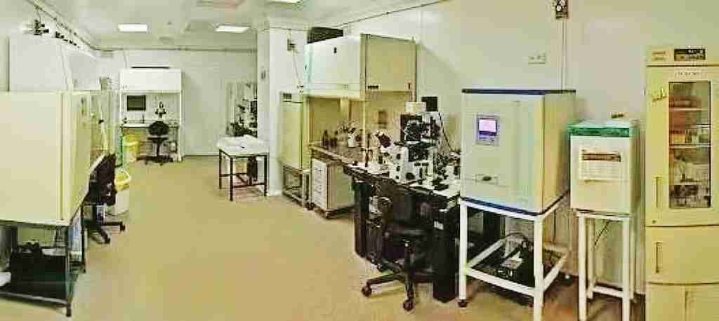 试管爸爸国际助孕中心合作医院-俄罗斯阿尔特(ART)生殖健康诊所