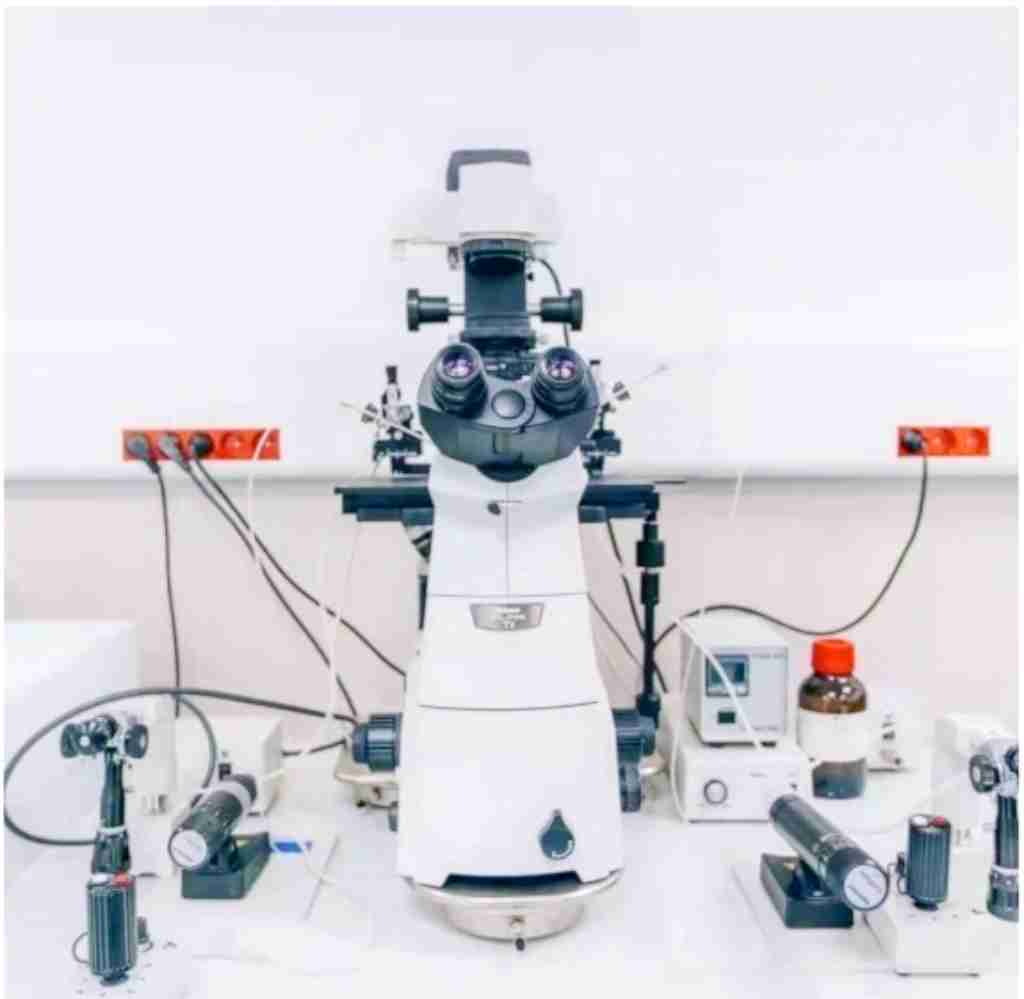 试管爸爸国际助孕中心合作医院-格鲁吉亚Zhordania辅助生殖中心