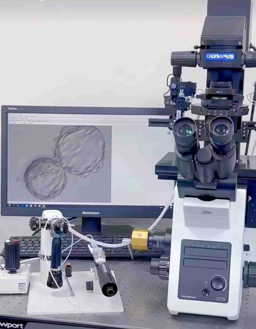 试管爸爸国际助孕中心合作医院-格鲁吉亚Innova生殖医学中心