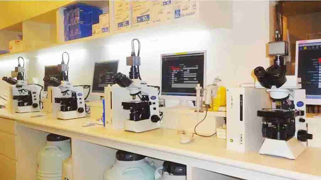 试管爸爸国际助孕中心合作医院-日本英医院（Hanabusa IVF Clinic）