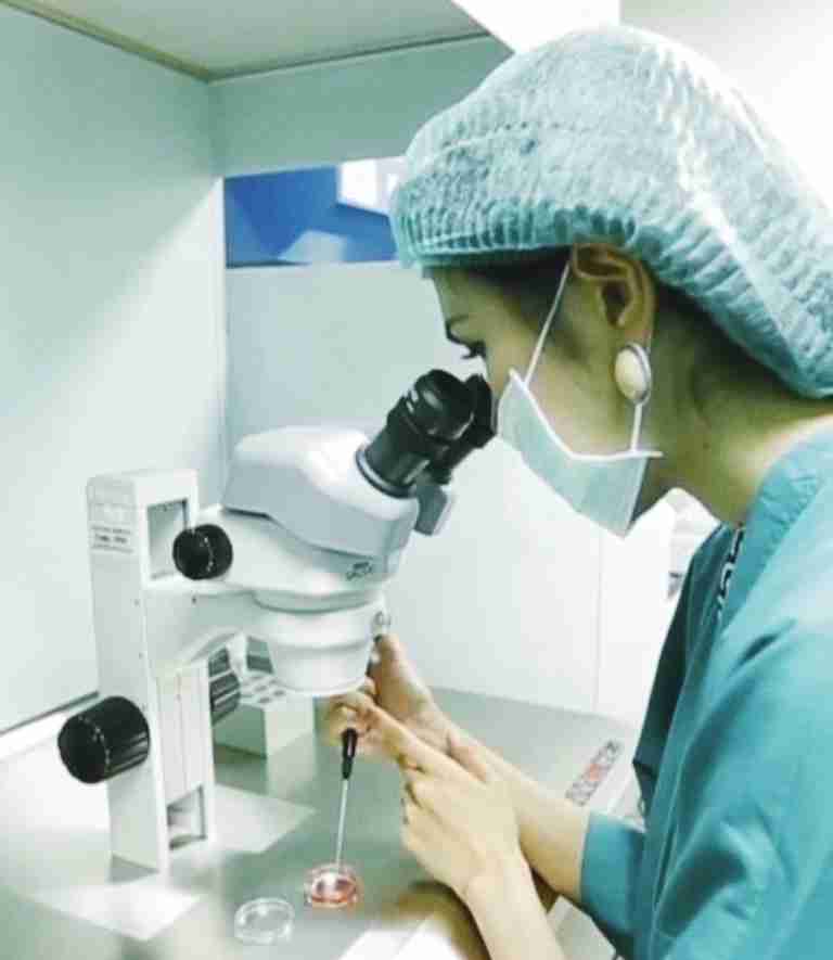 试管爸爸国际助孕中心合作医院-泰国碧雅威国际医院生殖中心