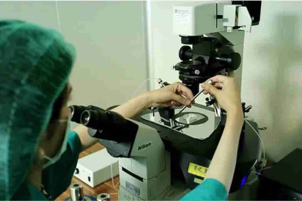 试管爸爸国际助孕中心合作医院-泰国碧雅威国际医院生殖中心