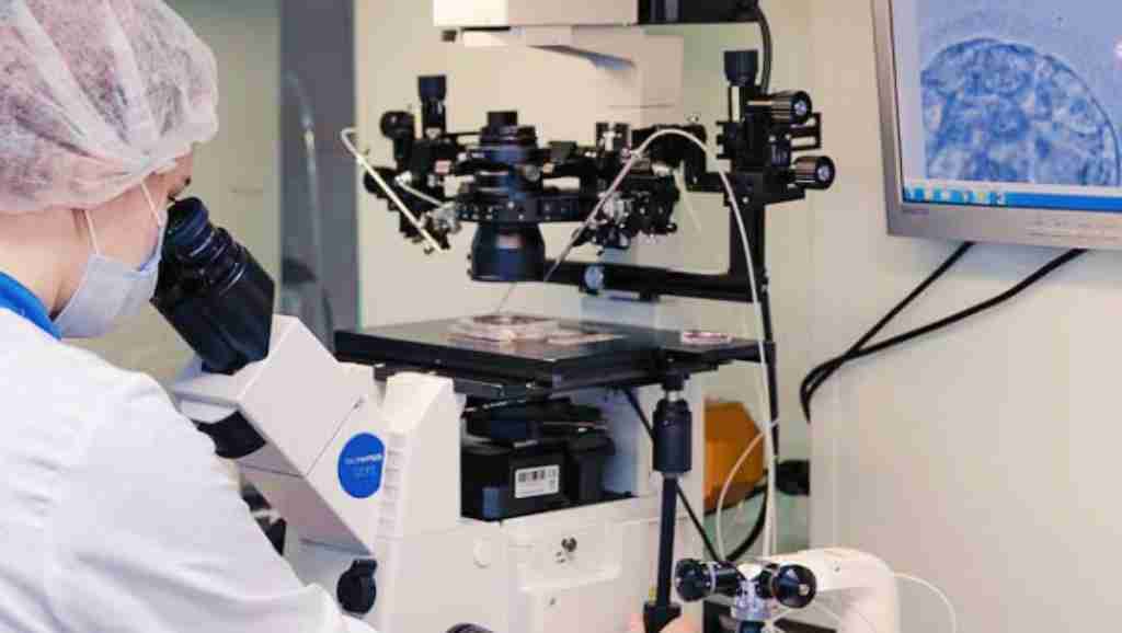 试管爸爸国际助孕中心合作医院-格鲁吉亚SILK Medical生殖中心