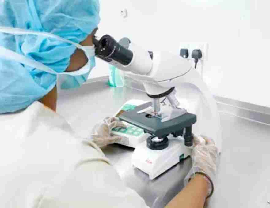 试管爸爸国际助孕中心合作医院-马来西亚生丰生殖医院