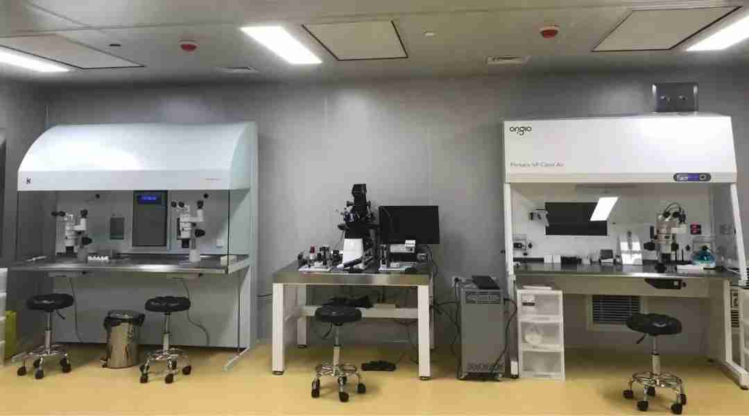 试管爸爸国际助孕中心合作医院-泰国丹若国际生殖医院