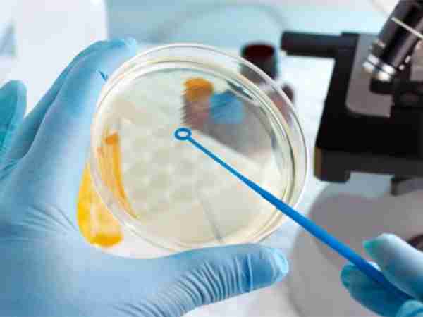 试管爸爸国际助孕中心合作医院-美国生殖医疗中心AFMC