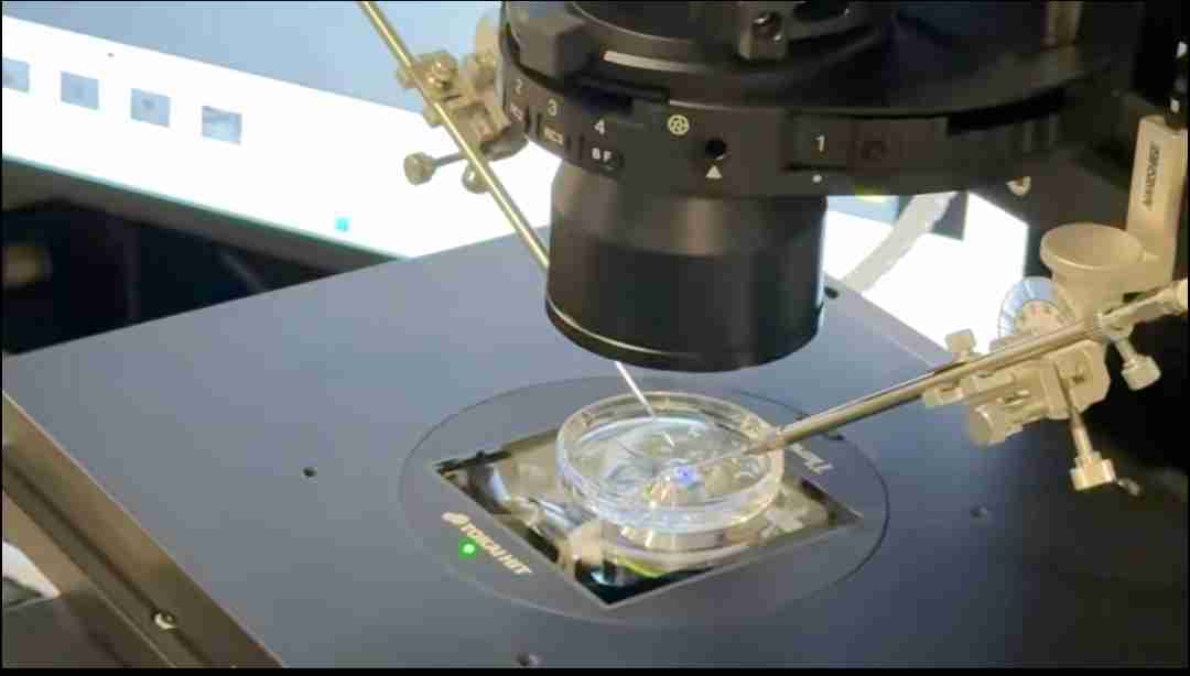 试管爸爸国际助孕中心合作医院-美国BHF生殖医院