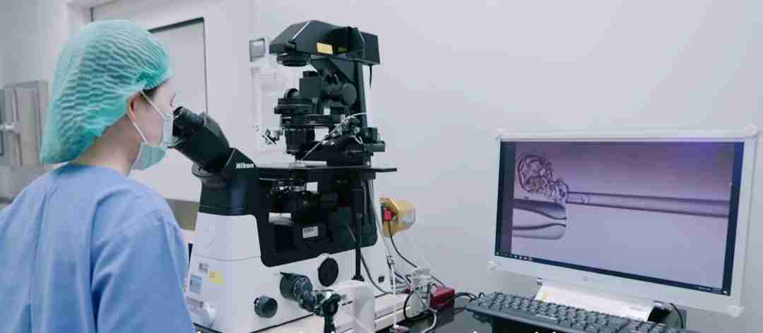 试管爸爸国际助孕中心合作医院-泰国BPK9（万巴古9）国际医院