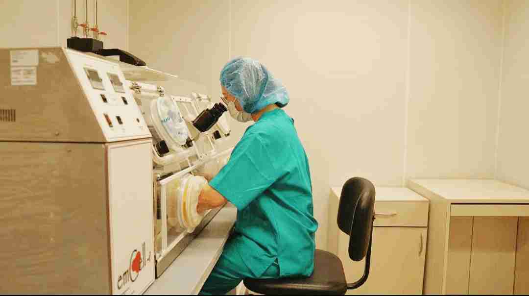 试管爸爸国际助孕中心合作医院-新加坡伊丽莎白生殖中心