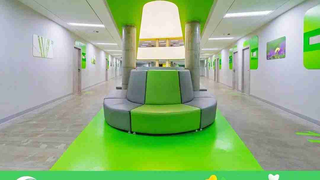 试管爸爸国际助孕中心合作医院-格鲁吉亚GAGUA生殖中心