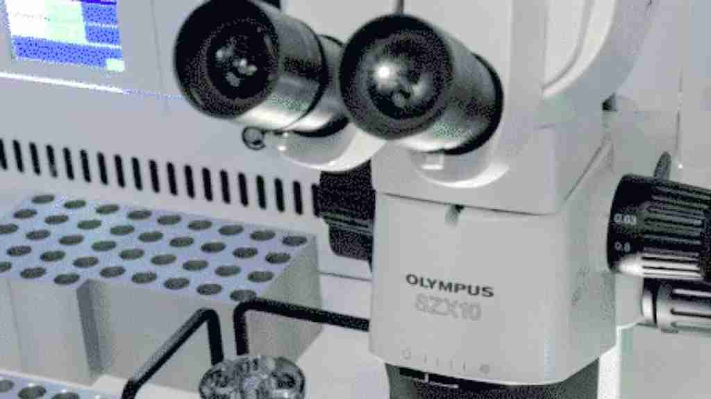 试管爸爸国际助孕中心合作医院-希腊IOL生殖中心