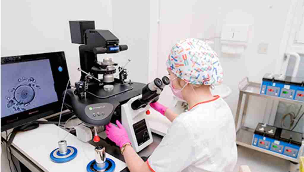 试管爸爸国际助孕中心合作医院-俄罗斯Embrylife安贝来试管婴儿中心