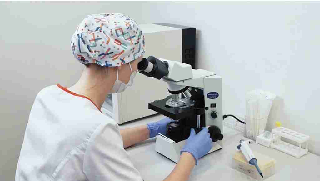 试管爸爸国际助孕中心合作医院-俄罗斯Embrylife安贝来试管婴儿中心