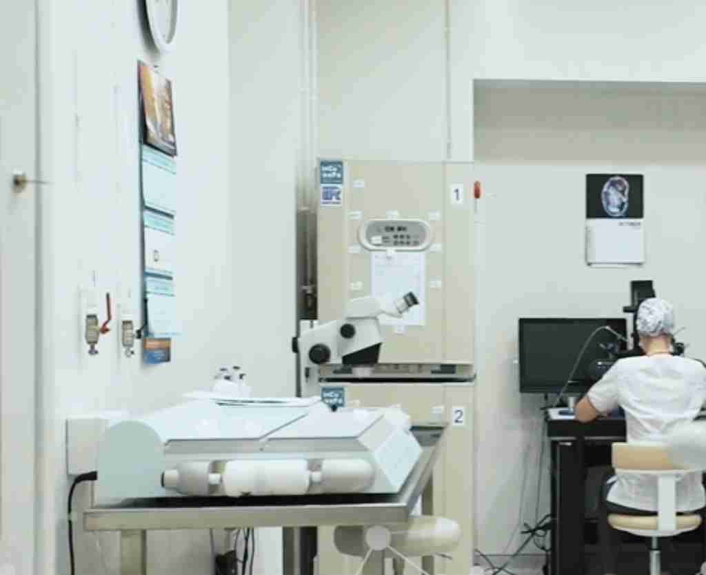 试管爸爸国际助孕中心合作医院-俄罗斯Embrylife安贝来试管婴儿中心