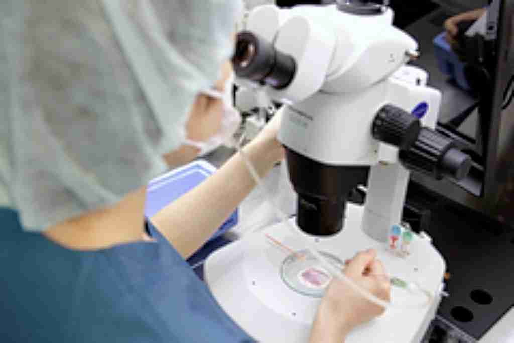 试管爸爸国际助孕中心合作医院-日本加藤女子医院（Kato Ladies Clinic）