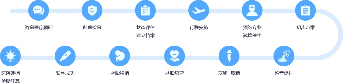 试管爸爸国际助孕中心服务流程图-试管婴儿全流程说明